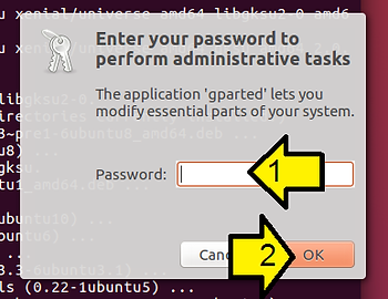 enter_sudo_password_17