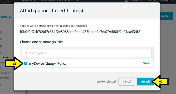 mydevice_guppy_policy_31