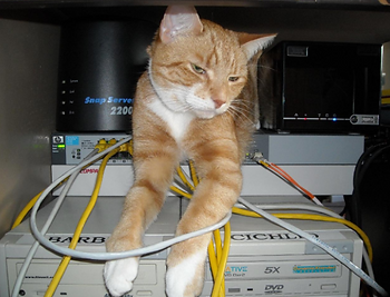 netcat