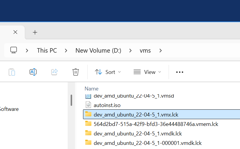 The VMWare lck folder to delete