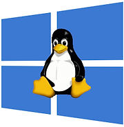 Tux_on_winfows_logo