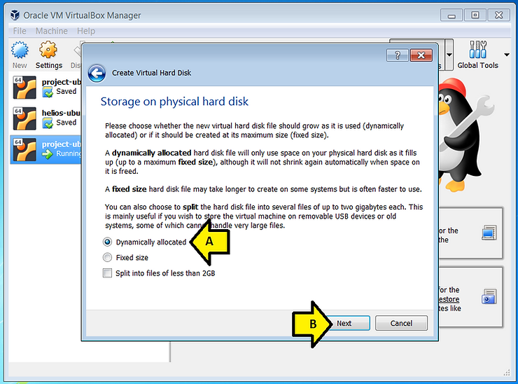dynamically_allocated_selected_8