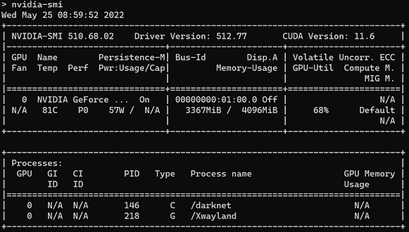 Run_command_nvidia-smi_9