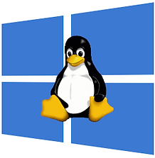 Tux_on_windows_logo